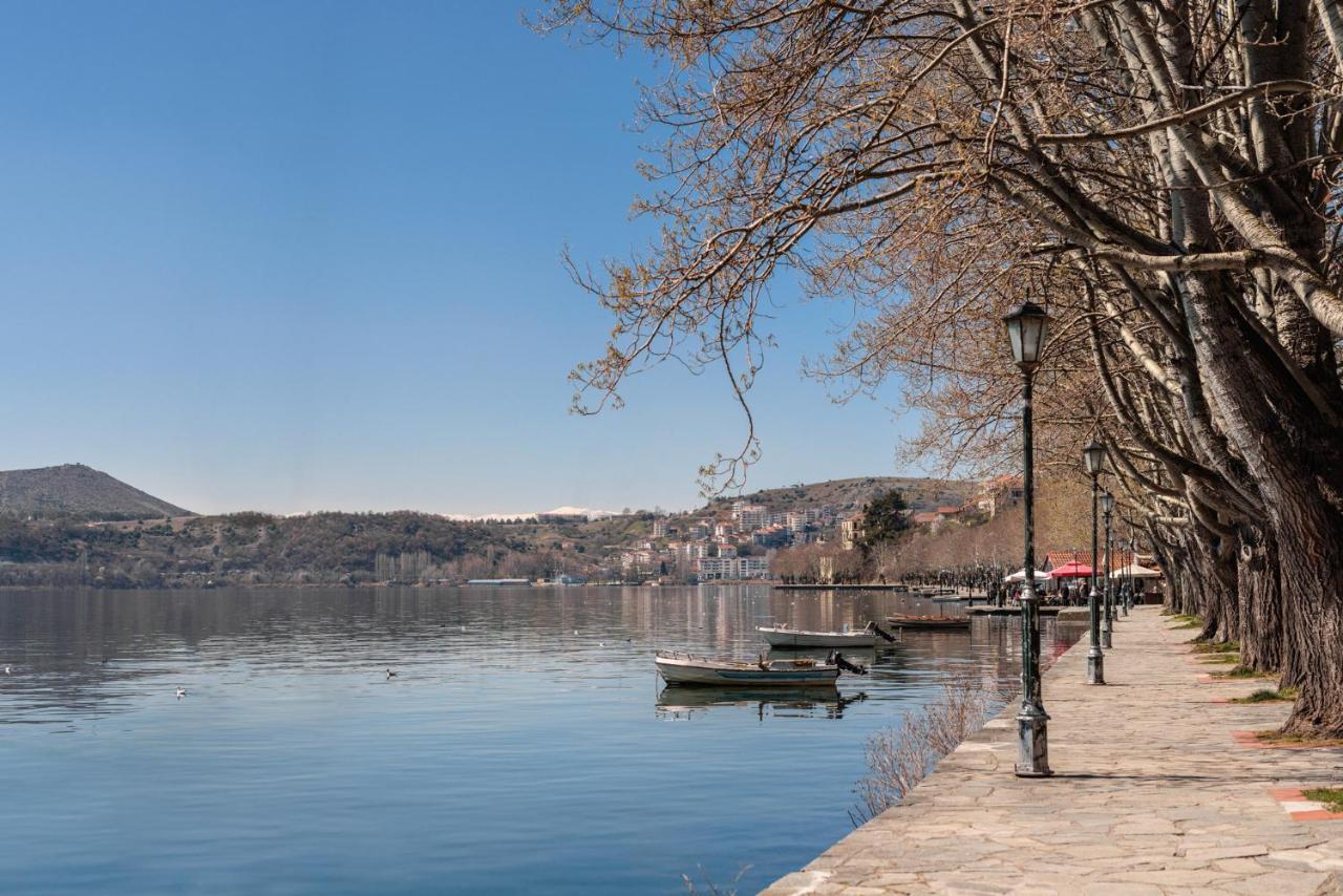 Αρχοντικό Κίτσου - Boutique Hotel Kastoria Exterior photo